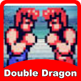 Guide(for Double Dragon) icon