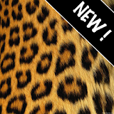 GO Contacts Cheetah Theme icon