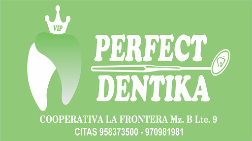 Android application PERFECT DENTIKA screenshort