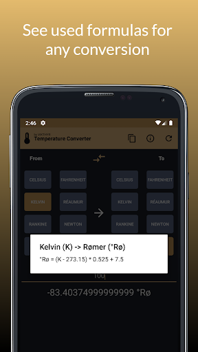 Temperature Converter Screen 3