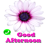 Good Afternoon Stickers 2021 WAstickerApp