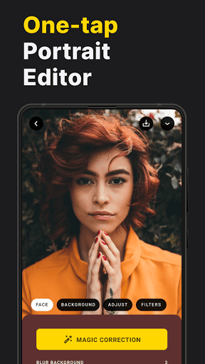 Lensa: Photo/Pictures Editor 