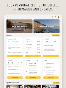 Screenshot image