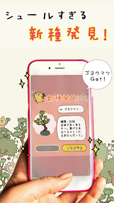 女子に人気ゲーム 『盆栽あつめ 』のおすすめ画像4