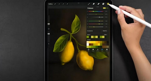 Painting Procreate Guide 4.0 APK + Mod (Free purchase) for Android