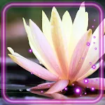 Cover Image of Download Forest Lake Lilies 1.2 APK