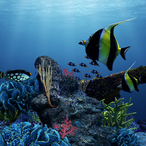 Sea Life Wallpaper Theme logo
