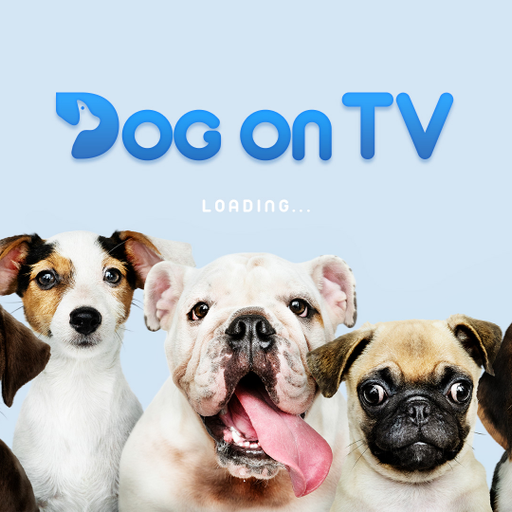 Dog TV  Icon