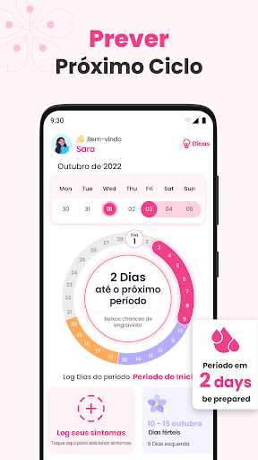 Visualização do aplicativo