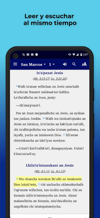 Tepehua Pisaflores Bible - 11.2 - (Android)
