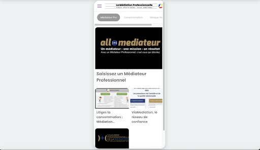 La Médiation Professionnelle Screen 2