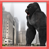 Gorilla Wild-Life icon