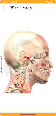 Acupuncture Assistantのおすすめ画像4