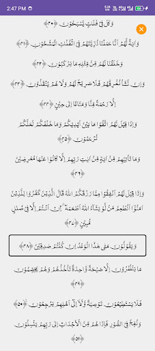 Surah Yaseen with Audio screenshot 5