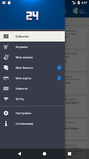 Билеты 24 Screen 2
