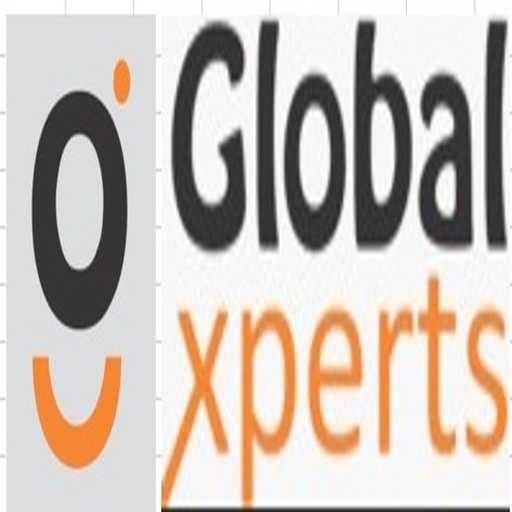 Global Xperts 6.0.0 Icon