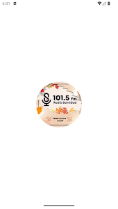 Radio Santidad 101.5