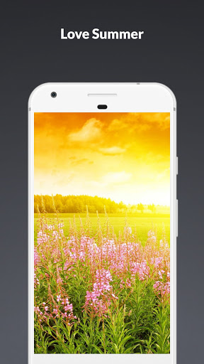 Android application Summer Wallpaper screenshort