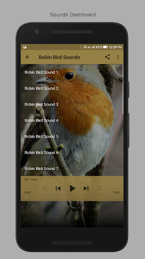 Robin Bird Sounds Screen 2