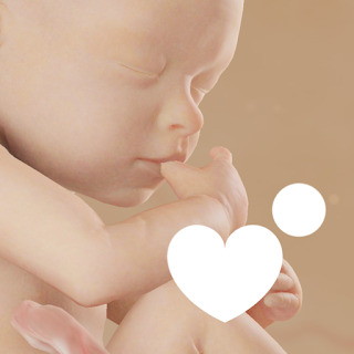 Preggers: Pregnancy + Baby App apk