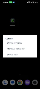 Codemin: Developer Options