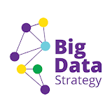 Big Data Strategy icon