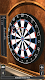 screenshot of Pro Darts 2024