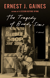 Icon image The Tragedy of Brady Sims