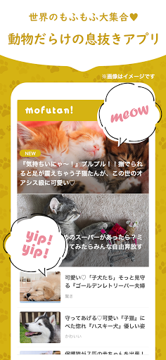 かわいい犬猫が大集合！セカイもふもふ探検隊-もふたん- Screenshot