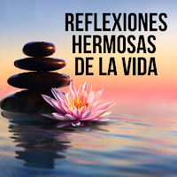 Reflexiones Hermosas de la Vida