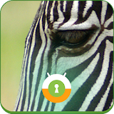 Zebra Wall & Lock icon