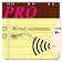 Voice Notes (Pro) icon