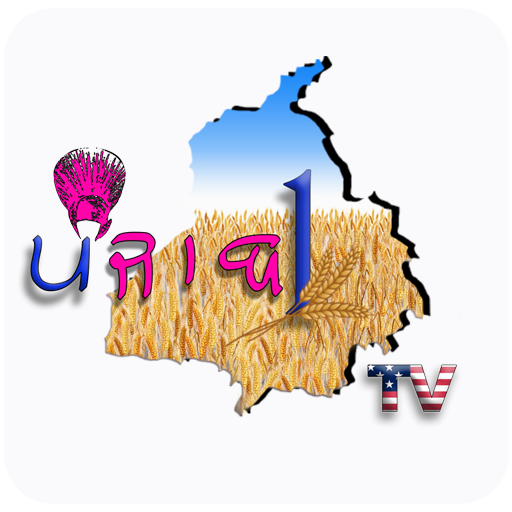 Android application punjab1tv screenshort