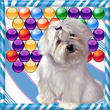 Super Dog Bubble Shooter icon