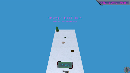 Winter Ball Run