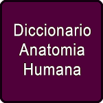 Cover Image of Download Diccionario Anatomia Humana  APK
