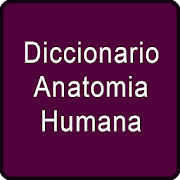 Diccionario Anatomia Humana