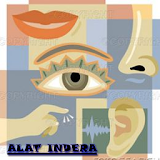 Alat Indera icon