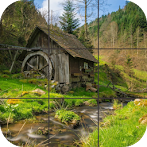 Forest Jigsaw Puzzle