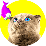 Gatos icon