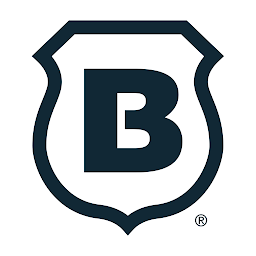 Brinks Home: Download & Review