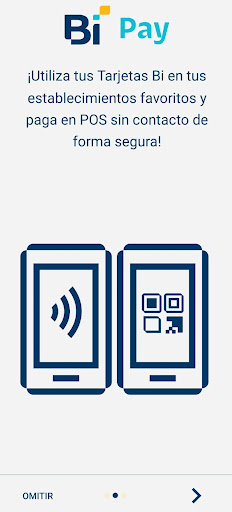 Bi Pay Screen 2