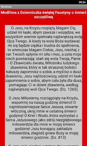 Modlitwy za zmarłych Screen 3