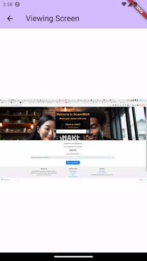 Screen Blink Screen 3