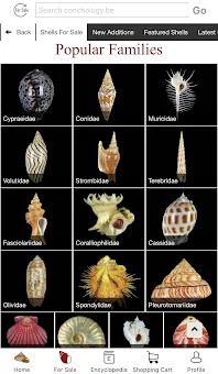 Conchology screenshot 2