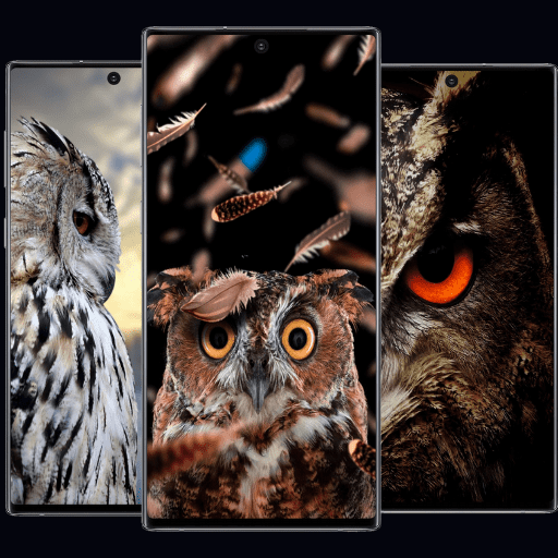 Download Animals HD Wallpaper-OWL 4K (1001).apk for Android 
