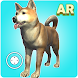 Dog play Ar - Androidアプリ