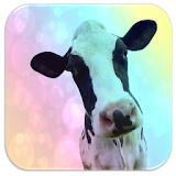 Cow sounds icon