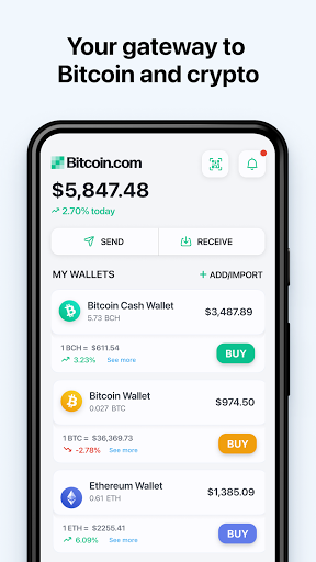 what wallet for bitcoin cash how to invest ira in bitcoin