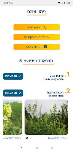 אנציקלופרח Screen 3